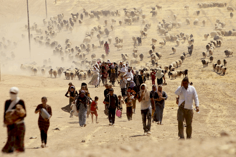 yazidi-displaced